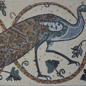 Shellal Mosaic