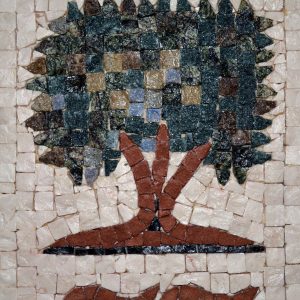 olive Tree