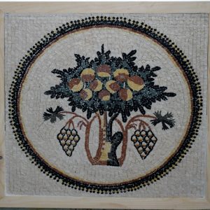 elianus Tree