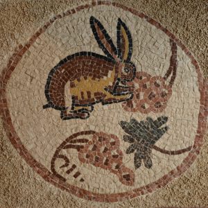 shellal Mosaic