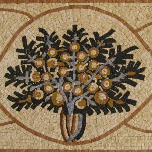 tree of saint elianus