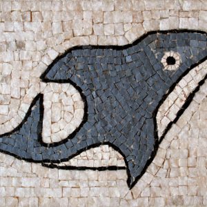 Fish mosaic