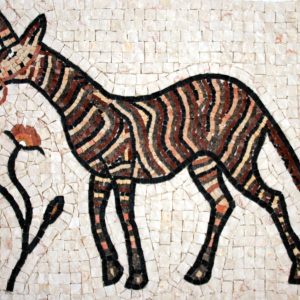 Zebra mosaic