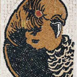 Parrot mosaic